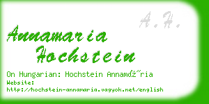 annamaria hochstein business card